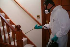 pest control services in cochin